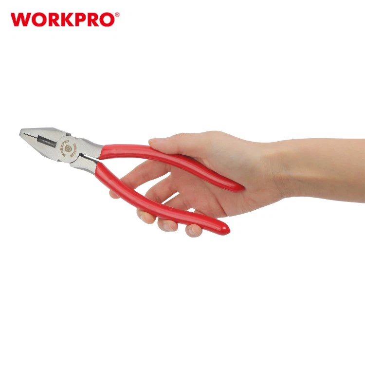 WP231003-4 WP231003-4