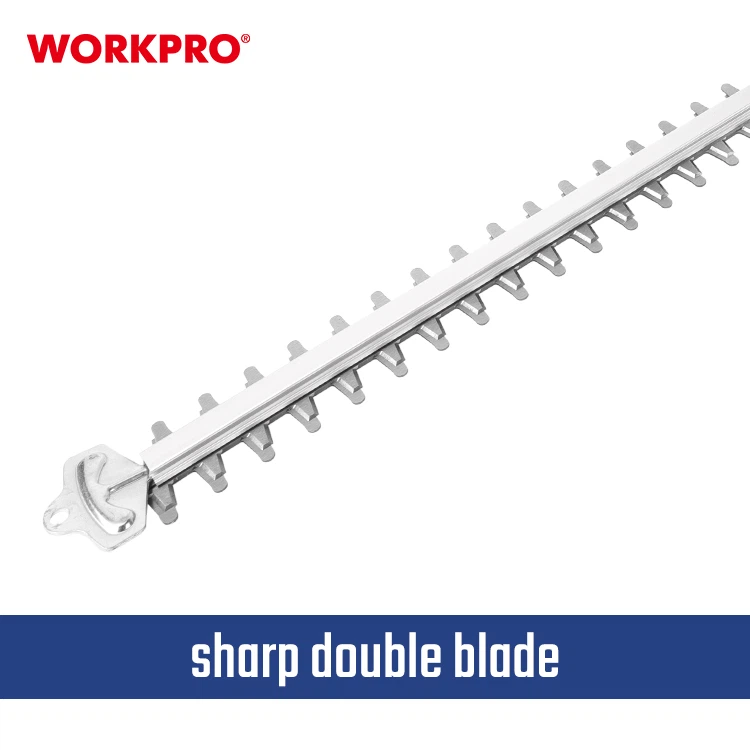 WP391613-4 WP391613-4